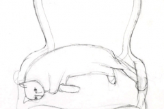 Mustapha au fauteuil - Floristella S. Dessin