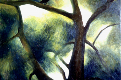 Corbeau dans l'arbre - Floristella S