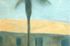 Palmier - Floristella S