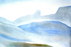 floristella paysage 01