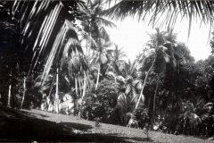 Sri Lanka 2
