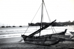 Sri Lanka 4