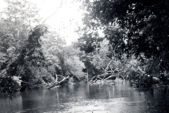rivière