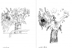 L02•005-fleurs dessins 8 5 90