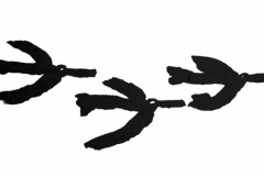 14_trois_oiseaux
