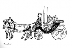15_carrosse