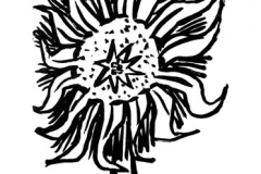36_tournesol